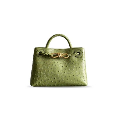 BOTTEGA VENETA MINI ANDIAMO 805232 (20.5*15*7cm) 